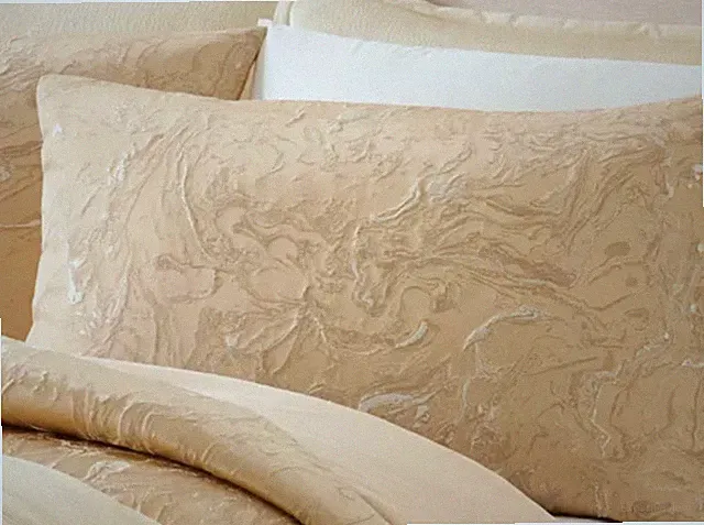 BRAND NEW! Donna Karan Liquid Marble Gold Standard/Queen Sham Pair (2)